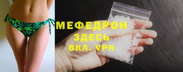 гидра Богородицк