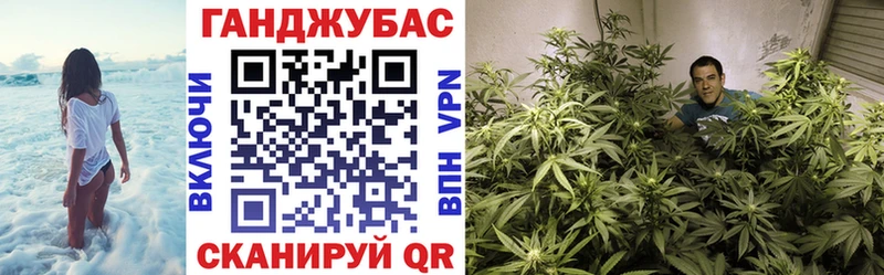 Бошки марихуана Amnesia  Купить закладки  Пересвет 